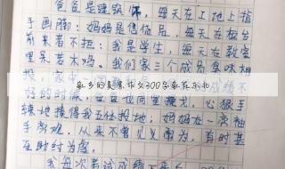 我家年景600字作文 我的家乡作文二年级