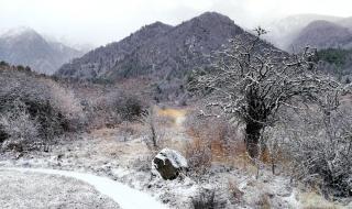 描写下雪时的诗句 最适合下雪发朋友圈的诗词