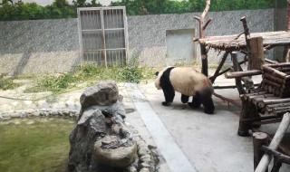 到西安秦岭野生动物园怎么走 秦岭野生动物园路线